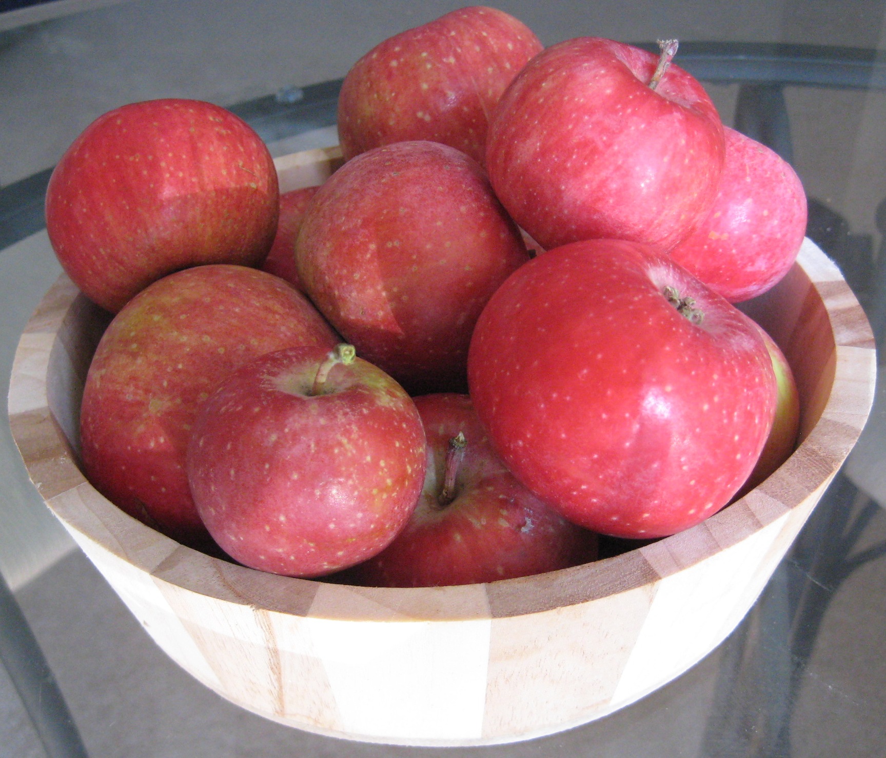 Яблоня пепин шафран фото и описание